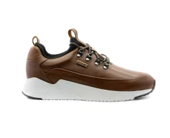 Sapatilhas^Camport Sapatilhas Havre Castanho