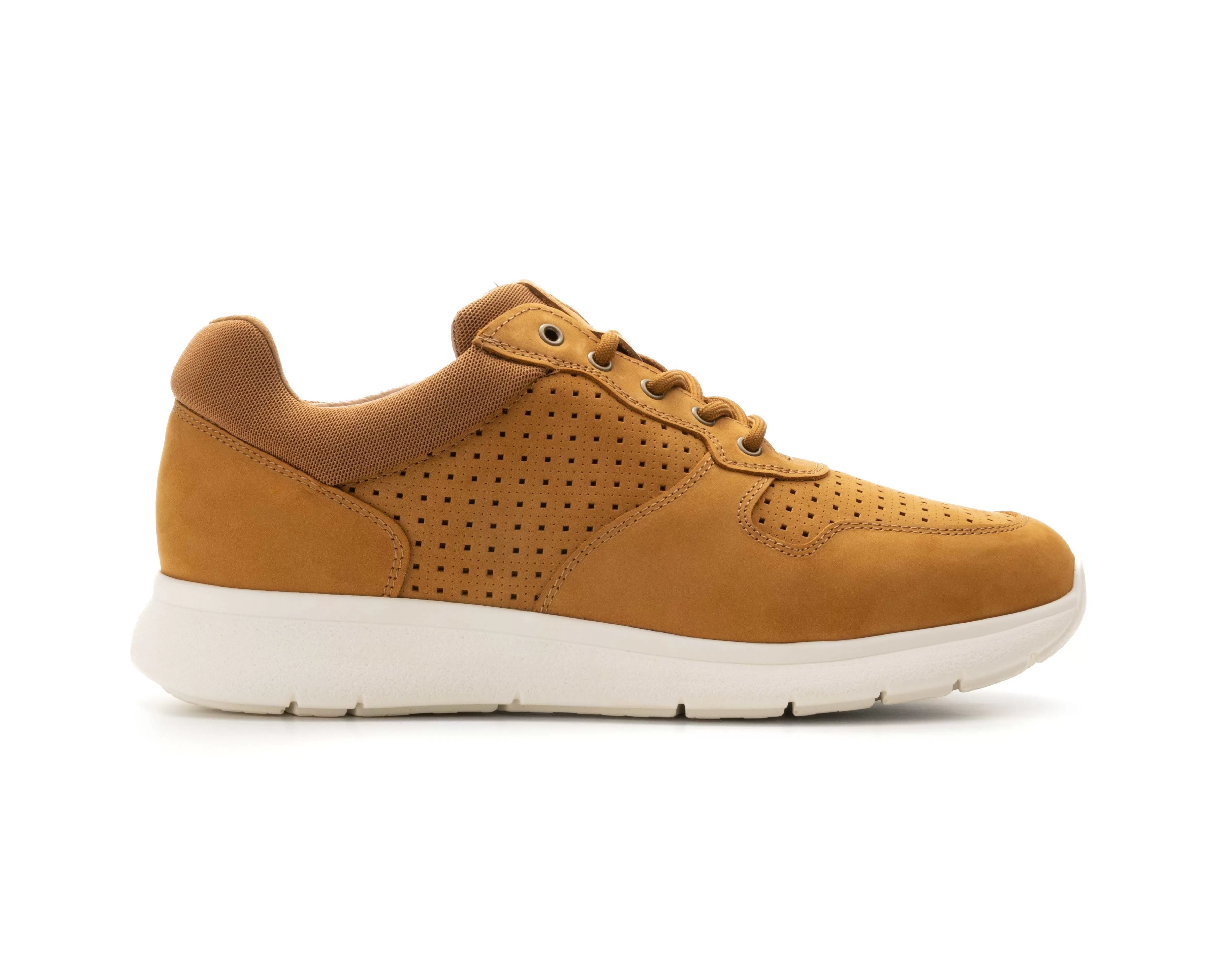 Sapatilhas^Camport Sapatilha Sneaker Hit Camel